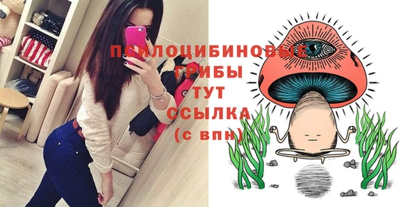 бошки Алексеевка