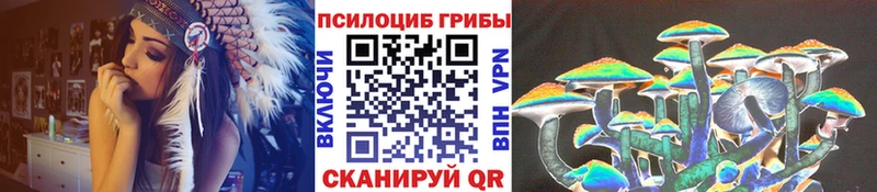 Галлюциногенные грибы мухоморы  купить наркотик  Стерлитамак 