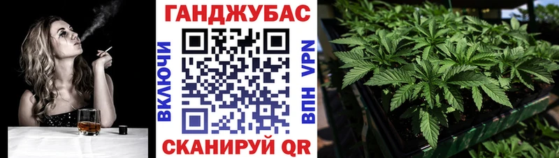 где купить наркотик  Стерлитамак  Каннабис сатива 
